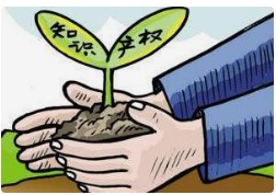 2024京津冀知识产权保护活动在雄安新区举办