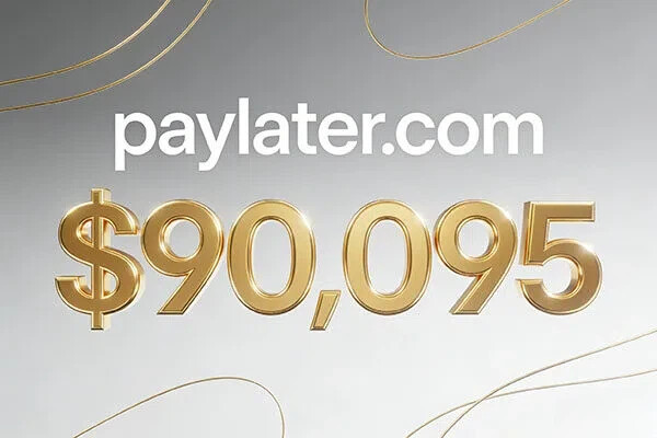 paylater.com以90,095美元落槌，精准贴合BNPL先买后付黄金赛道