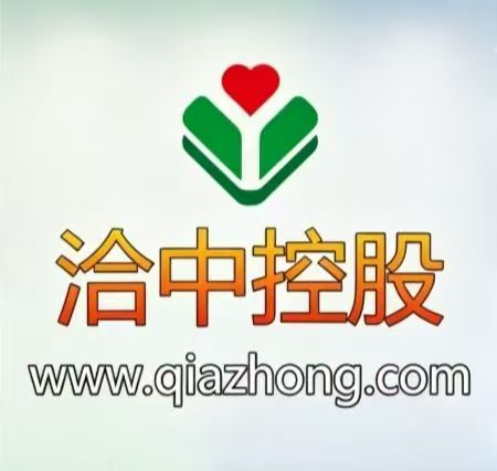 洽中控股qiazhong.com适合做什么